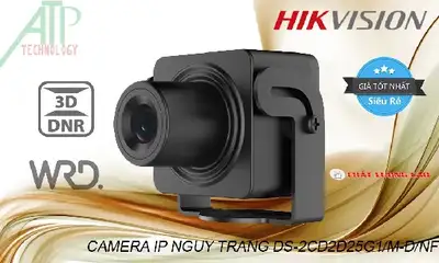 CAMERA IP ngụy trang DS-2CD2D25G1/M-D/NF,thông số DS-2CD2D25G1/M-D/NF,DS-2CD2D25G1/M-D/NF Tiết kiệm,chức năng DS-2CD2D25G1/M-D/NF,DS-2CD2D25G1/M-D/NF sale mạnh,Giá Bán DS-2CD2D25G1/M-D/NF,DS-2CD2D25G1/M-D/NF Giá Thấp Nhất,DS-2CD2D25G1/M-D/NF Bán Giá Rẻ,Nơi bán DS-2CD2D25G1/M-D/NF,bán DS-2CD2D25G1/M-D/NF,DS-2CD2D25G1/M-D/NF sale mạnh