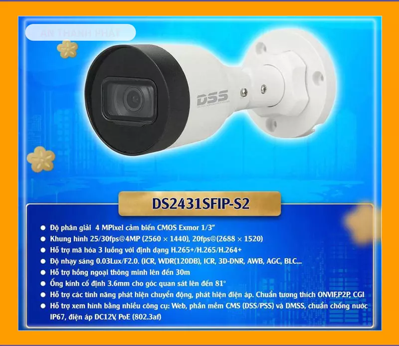 camera dahua DS2431SFIP-S2