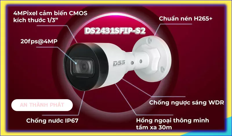 camera dahua DS2431SFIP-S2
