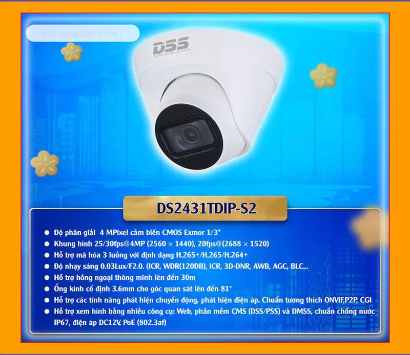 Camera IP Dahua DS2431TDIP-S2